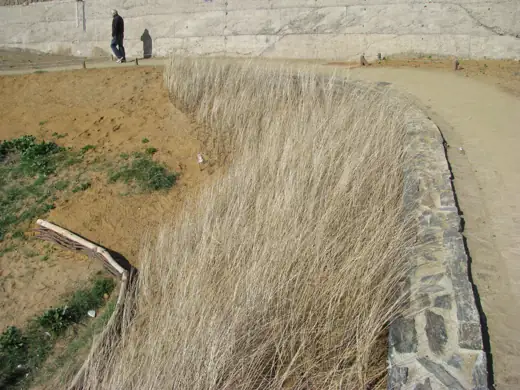 Jardin réalisé ou entretenu par Pro-Paysage