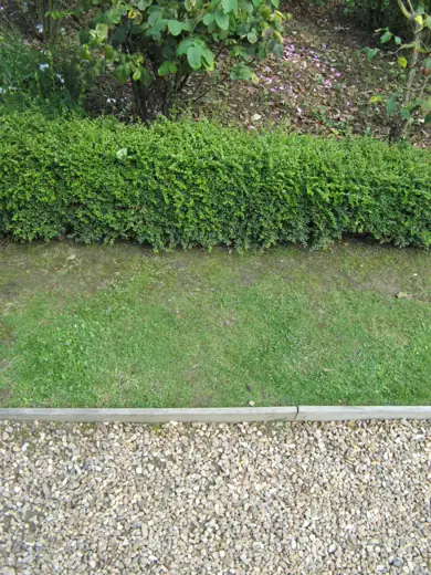 Jardin réalisé ou entretenu par Pro-Paysage