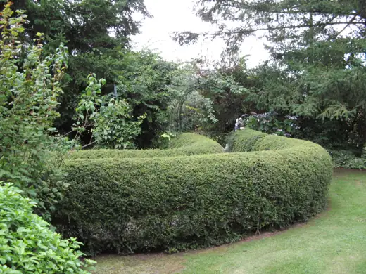 Jardin réalisé ou entretenu par Pro-Paysage