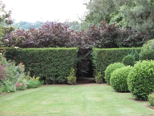 Jardin réalisé ou entretenu par Pro-Paysage