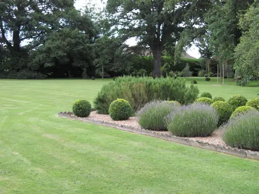 Jardin réalisé ou entretenu par Pro-Paysage