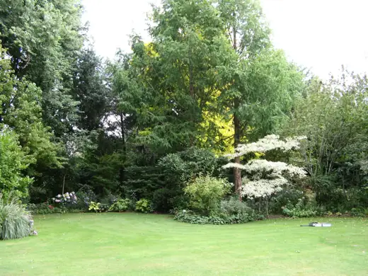 Jardin réalisé ou entretenu par Pro-Paysage
