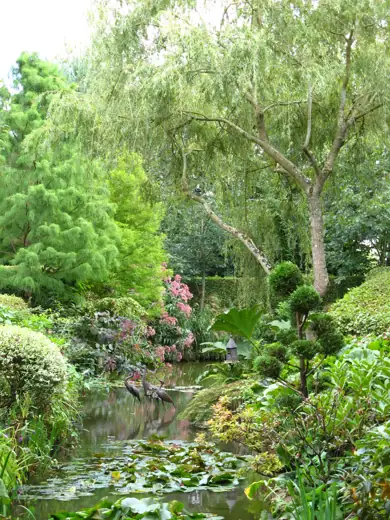Jardin réalisé ou entretenu par Pro-Paysage