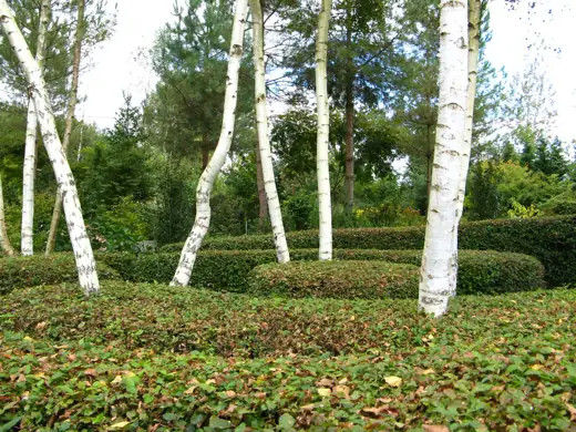 Jardin réalisé ou entretenu par Pro-Paysage