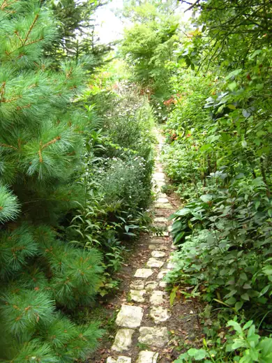 Jardin réalisé ou entretenu par Pro-Paysage