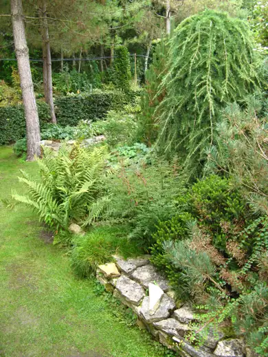 Jardin réalisé ou entretenu par Pro-Paysage