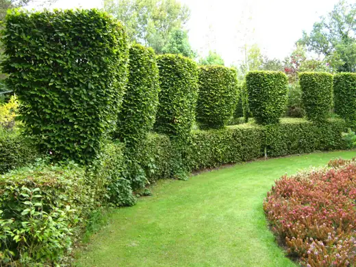Jardin réalisé ou entretenu par Pro-Paysage