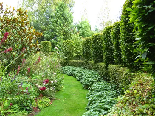 Jardin réalisé ou entretenu par Pro-Paysage