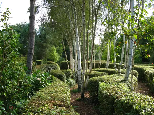 Jardin réalisé ou entretenu par Pro-Paysage