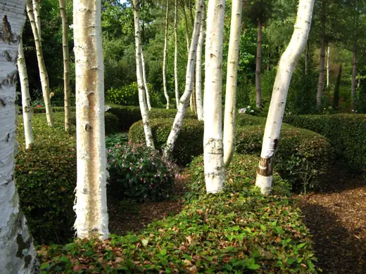 Jardin réalisé ou entretenu par Pro-Paysage