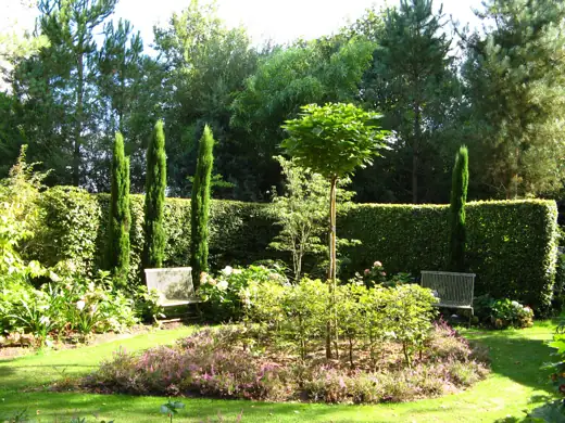 Jardin réalisé ou entretenu par Pro-Paysage