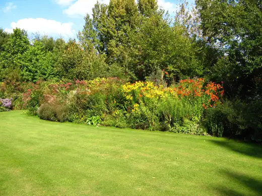 Jardin réalisé ou entretenu par Pro-Paysage