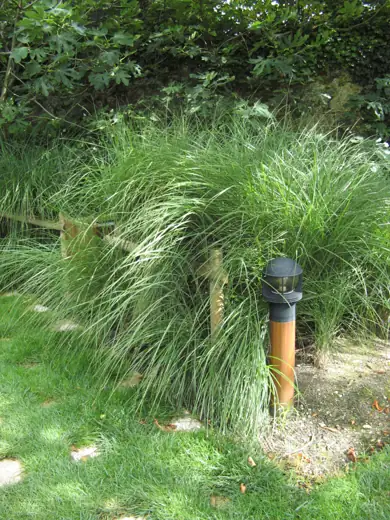 Jardin réalisé ou entretenu par Pro-Paysage